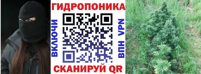 Где найти наркотики Мариинский Посад A PVP  Бошки Шишки  Меф  АМФ  Гашиш 