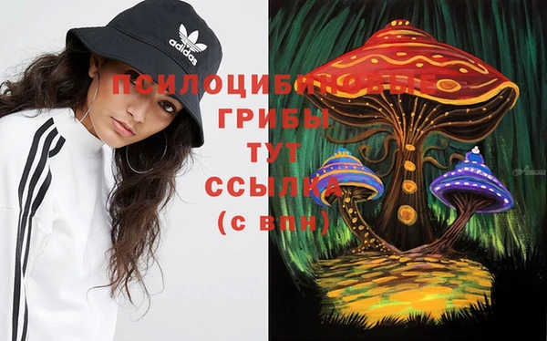 a pvp Арсеньев