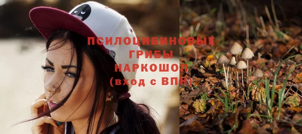 гашик Армянск