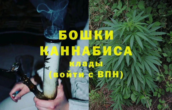 гидропоника Сатка